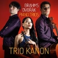 Brahms, Dvorak: Piano Trios