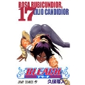 BLEACH -ブリーチ- 17