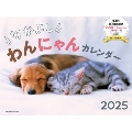 2025 なかよしわん・にゃんカレンダー