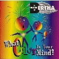 What Color Is Your Mind