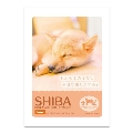 Dreaming Bath Time(入浴剤) DOG Image Bath Powder/SHIBA