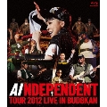INDEPENDENT TOUR 2012 LIVE IN BUDOKAN