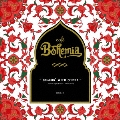 cafe Bohemia ～RELAXIN' WITH SHISHA～mixed by SALAM UNAGAMI