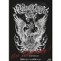 Nothing's Carved In Stone 15th Anniversary Live at BUDOKAN