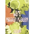 LIVE "Passion Flower"