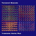 Transonic Works Plus