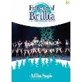 Forest of Brillia