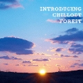 INTRODUCING CHILLOUT FOREST