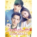 メモリーズ・オブ・ラブ～花束をあなたに～ DVD-BOX1