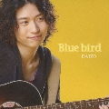 Blue bird