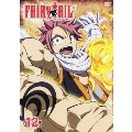 FAIRYTAIL フェアリーテイル 12