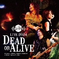 Live 2024 -Dead or Alive-