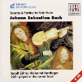 バッハ:湾曲弓による無伴奏ヴァイオリン・ソナタ&パルティータ(全曲)