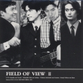 FIELD OF VIEW II