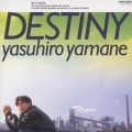 DESTINY～夢を追いかけて