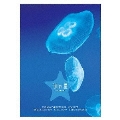 流れ星 完全版 DVD-BOX