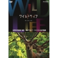 ワイルドライフ 世界自然遺産 知床 角がつなぐ! エゾシカ 命の物語