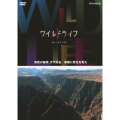 ワイルドライフ 東欧の秘境 タラ渓谷 断崖に野生を見た