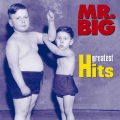 MR.BIG グレイテスト・ヒッツ＜期間限定盤＞