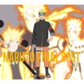 NARUTO FINAL BEST [CD+DVD+特製ブックレット]＜期間生産限定盤＞