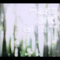 Flash and Gleam＜期間限定生産盤＞