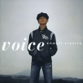 voice