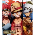 ONE PIECE ワンピース 20THシーズン ワノ国編 PIECE.21