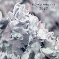 POP AMBIENT 2017