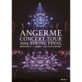 ハロプロ プレミアム アンジュルムコンサートツアー2019春ファイナル 和田彩花卒業スペシャル 輪廻転生～あるとき生まれた愛の提唱～