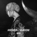 ANSWER... SHADOW [CD+DVD]＜初回生産限定盤B＞