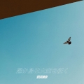 遥か鳥は大空を征く＜タワーレコード限定/初回生産限定盤＞