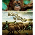 IMAX: Born To Be Wild 3D -野生に生きる-