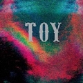 TOY＜限定盤＞