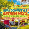 BURN DOWN STYLE ANTHEM MIX 3 100% DUB PLATE MIX CD