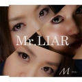 Mr.LIAR (Type B)
