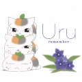 remember [CD+Blu-ray Disc]＜期間生産限定盤＞