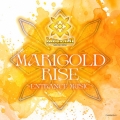 MARIGOLD RISE ～ENTRANCE MUSIC～