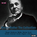 Bruno Walter The Collection