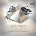 Amnesia Ibiza DJ Sessions Vol.8