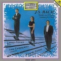 J.S.Bach: Flute Sonatas BWV.1030-BWV.1035
