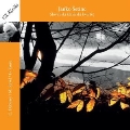 Janko Setinc - Slovenski Klavirski Kvartet - Debussy, Ravel, Faure