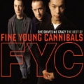 She Drives Me Crazy:The Best Of Fine Young Cannibals