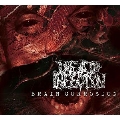 Brain Corrosion<限定盤>