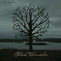 Black Chandelier / Biblical<BioVinyl EP>