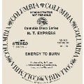Energy To Burn (Joaquin Joe Claussell Edit & Overdub) One-Sided<限定盤>