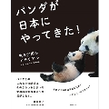 パンダが日本にやってきた! 来日50周年メモリアル