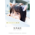 TEAM SHACHI アートブックコレクション 3 猫にチカラ饂飩 坂本遥奈