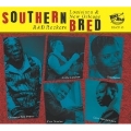 Southern Bred 13 Louisiana New Orleans R&B Rockers