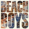 The Beach Boys '85<限定盤>
