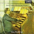 Arild Sandvold: Organ Music